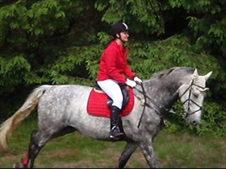 Jagt billeder - Det var sjovt :-) billede 23