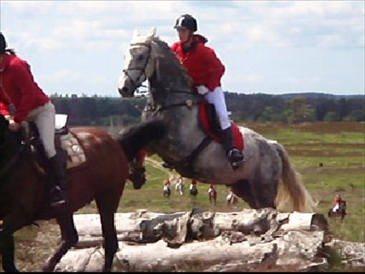 Jagt billeder - Ved godt det ikke er den bedste kvalitet, men taget fra en film. billede 24