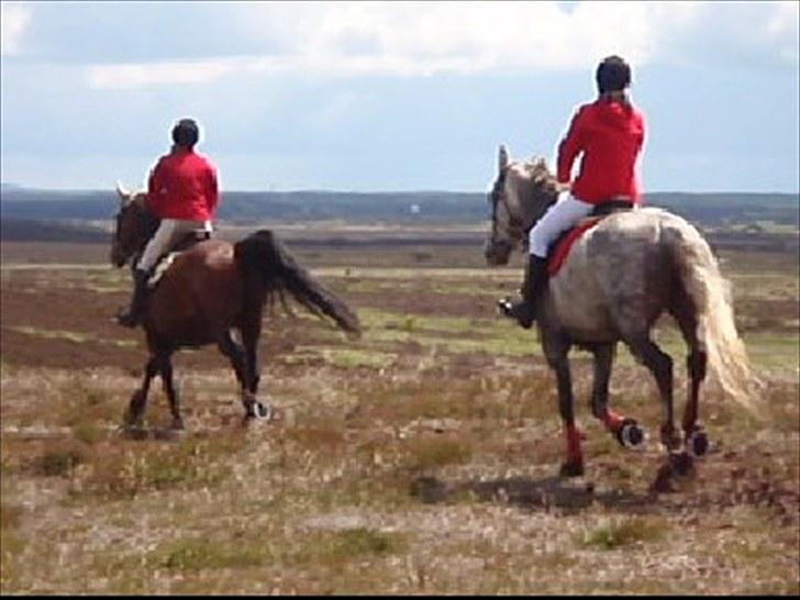 Jagt billeder - Taget fra en film. billede 25