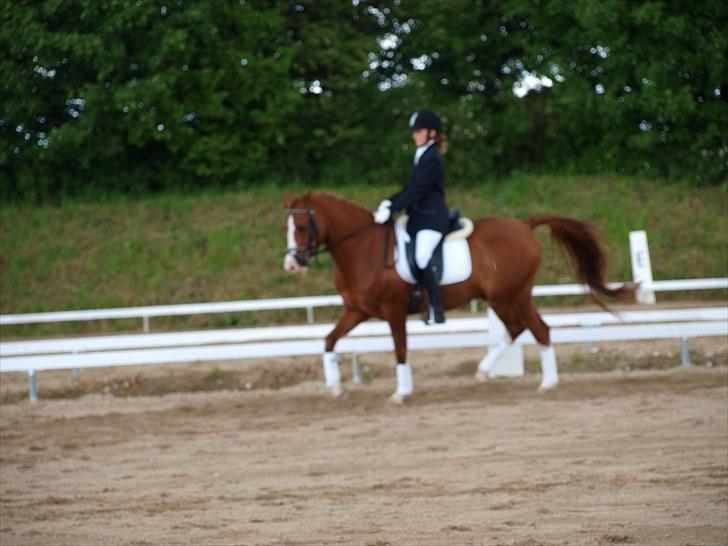 Algestrup rideklub stævne :) billede 9