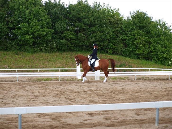 Algestrup rideklub stævne :) billede 10