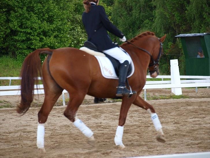 Algestrup rideklub stævne :) billede 11