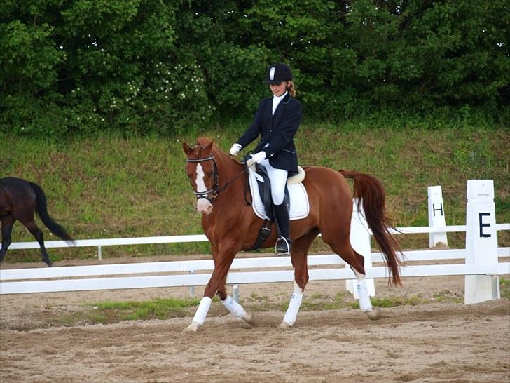 Algestrup rideklub stævne :) billede 12