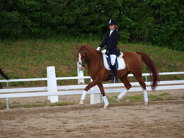 Algestrup rideklub stævne :) billede 13