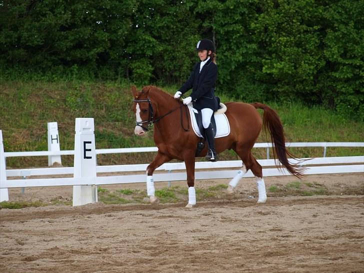 Algestrup rideklub stævne :) billede 14