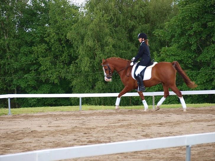 Algestrup rideklub stævne :) billede 15