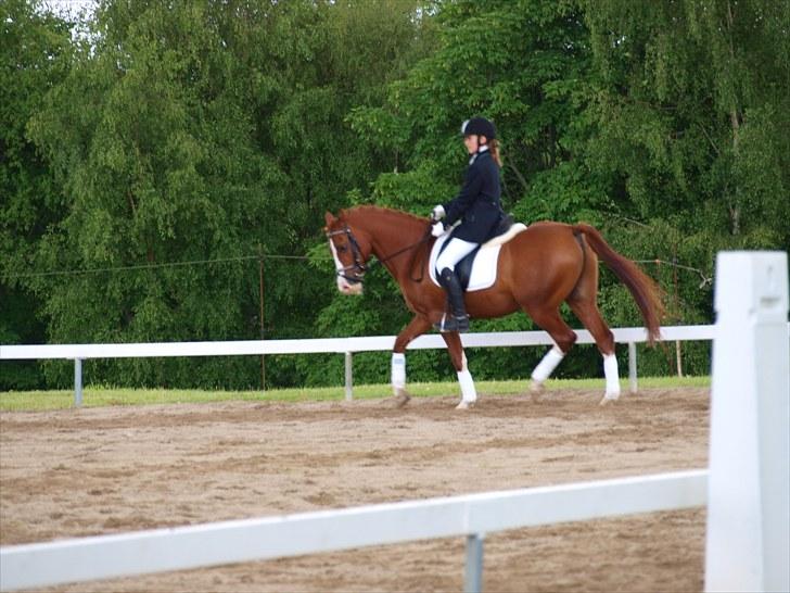 Algestrup rideklub stævne :) billede 16