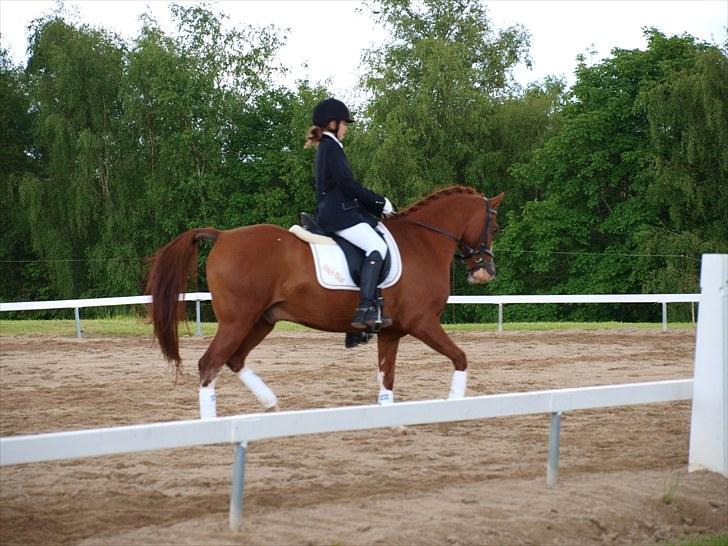 Algestrup rideklub stævne :) billede 17