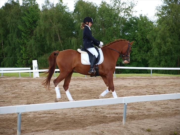 Algestrup rideklub stævne :) billede 18