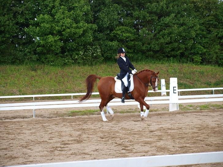 Algestrup rideklub stævne :) billede 19