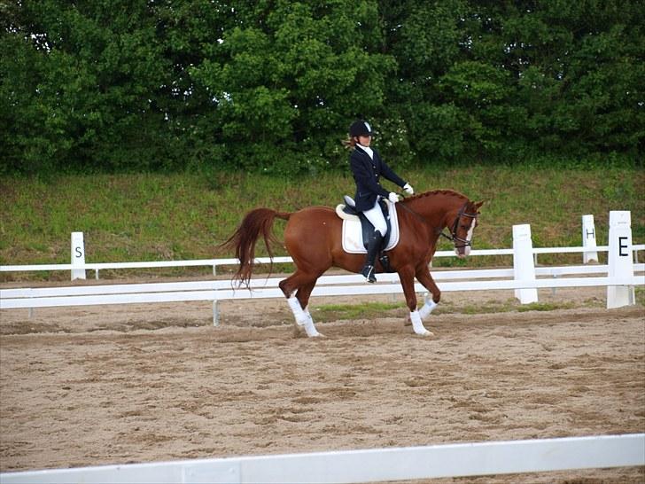 Algestrup rideklub stævne :) billede 20