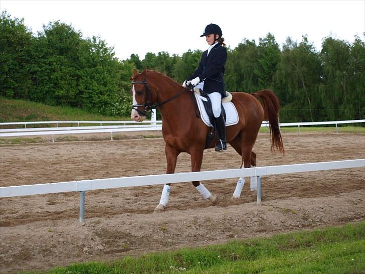 Algestrup rideklub stævne :) billede 21