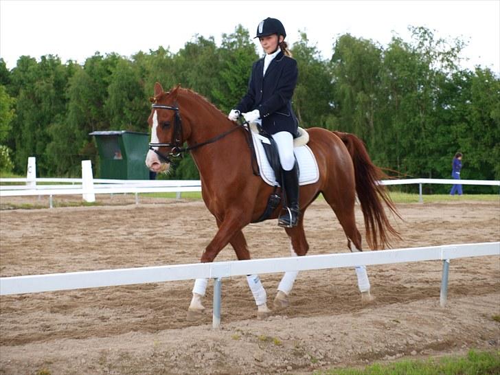 Algestrup rideklub stævne :) billede 22