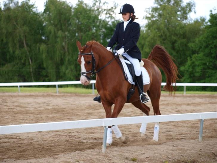 Algestrup rideklub stævne :) billede 23