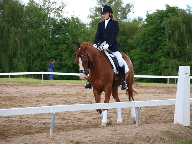 Algestrup rideklub stævne :) billede 24