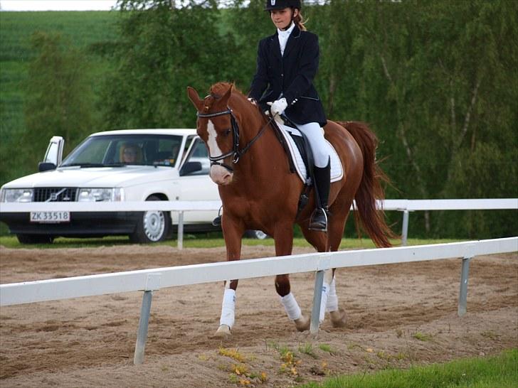 Algestrup rideklub stævne :) billede 25