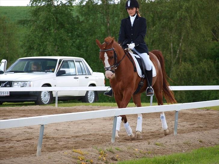 Algestrup rideklub stævne :) billede 26