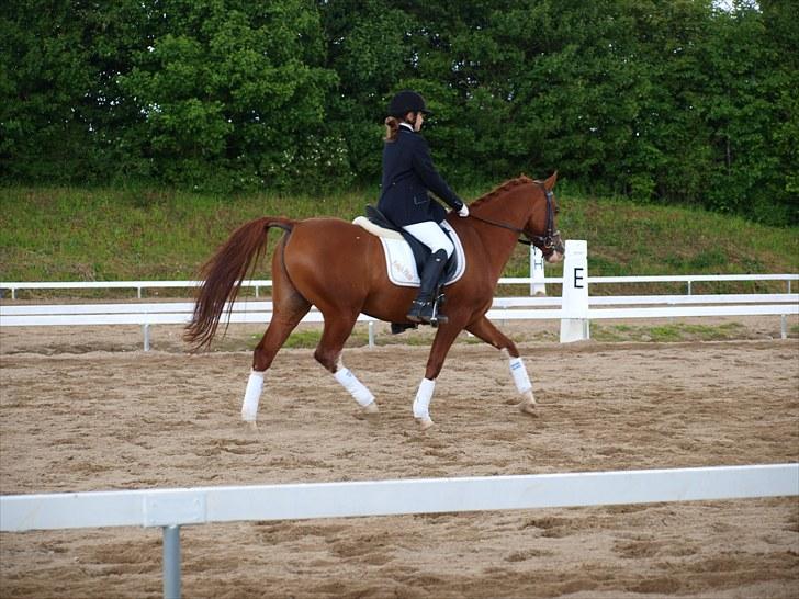 Algestrup rideklub stævne :) billede 27