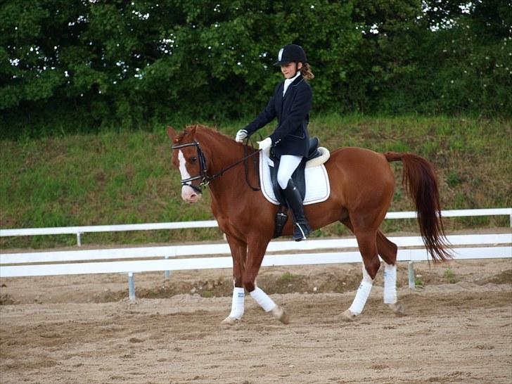 Algestrup rideklub stævne :) billede 28