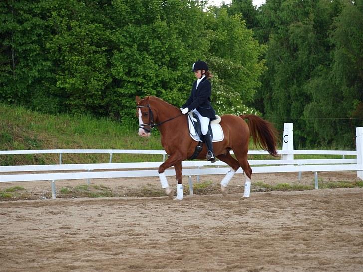 Algestrup rideklub stævne :) billede 29