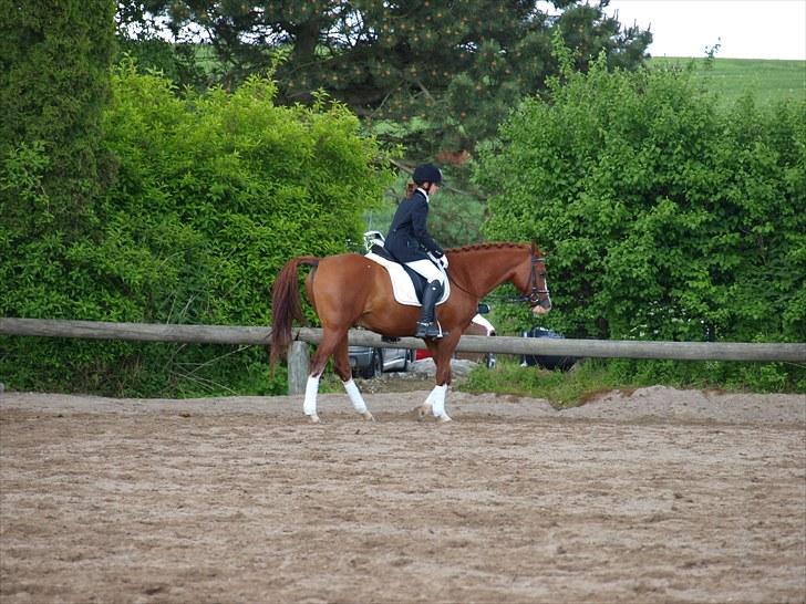 Algestrup rideklub stævne :) billede 30