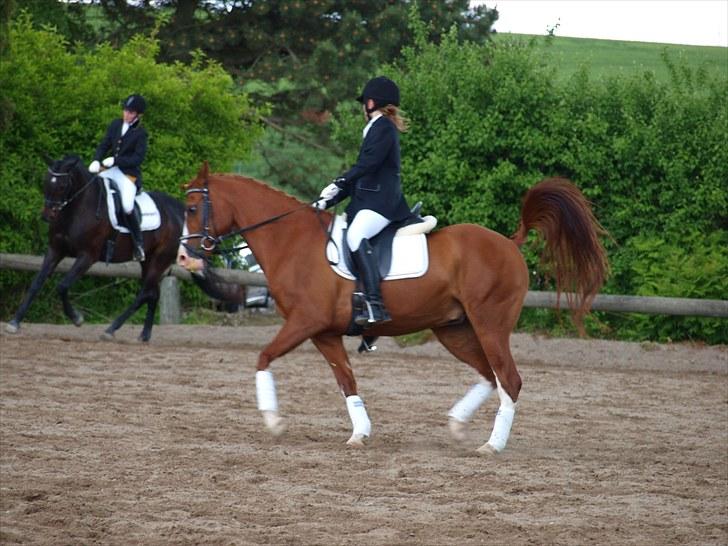 Algestrup rideklub stævne :) billede 32