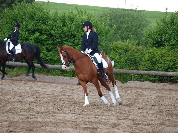 Algestrup rideklub stævne :) billede 33