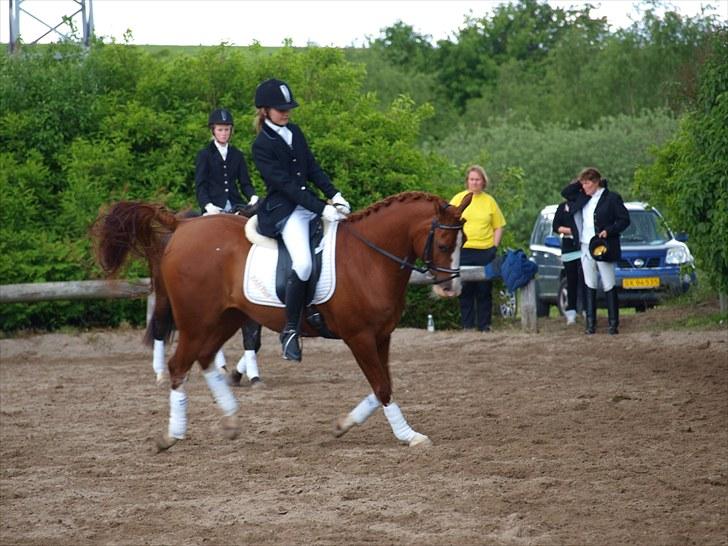 Algestrup rideklub stævne :) billede 34