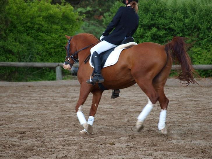 Algestrup rideklub stævne :) billede 35