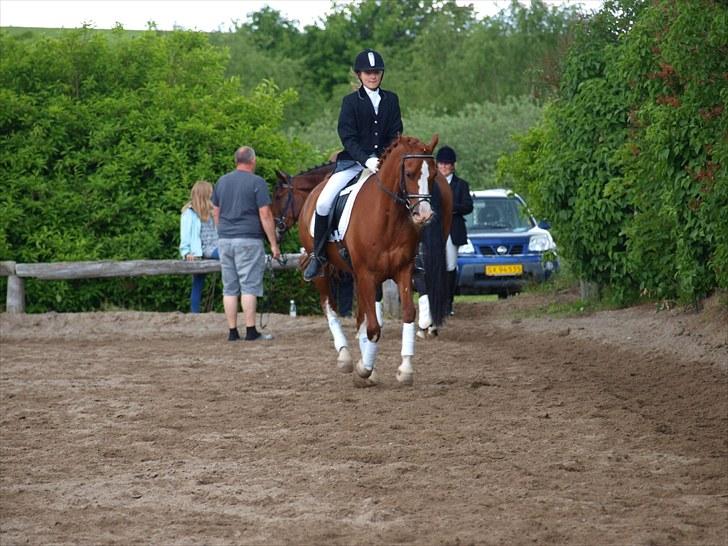 Algestrup rideklub stævne :) billede 37