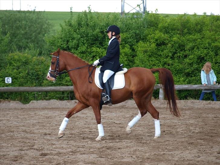 Algestrup rideklub stævne :) billede 38