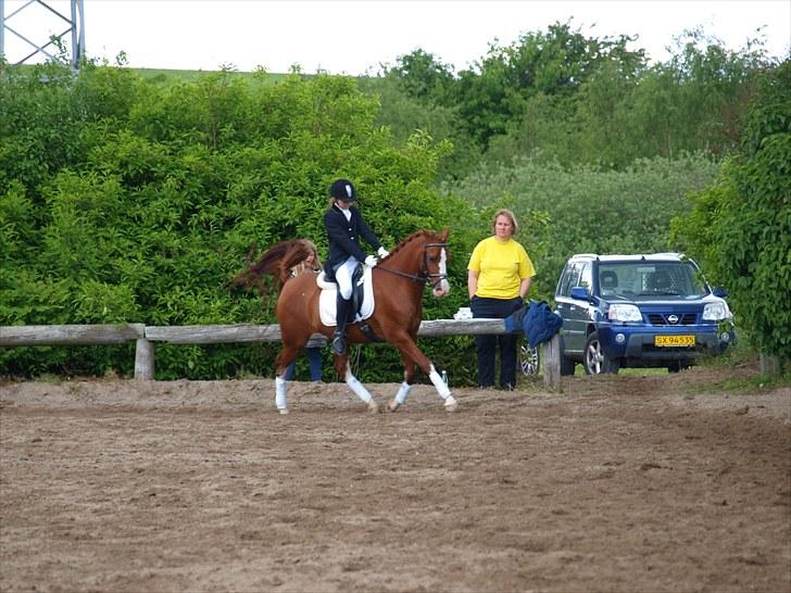 Algestrup rideklub stævne :) billede 39