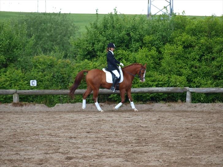 Algestrup rideklub stævne :) billede 40