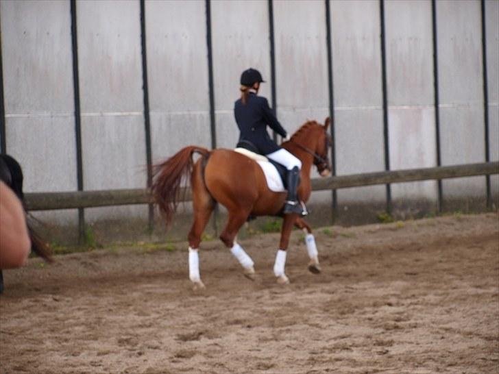 Algestrup rideklub stævne :) billede 41