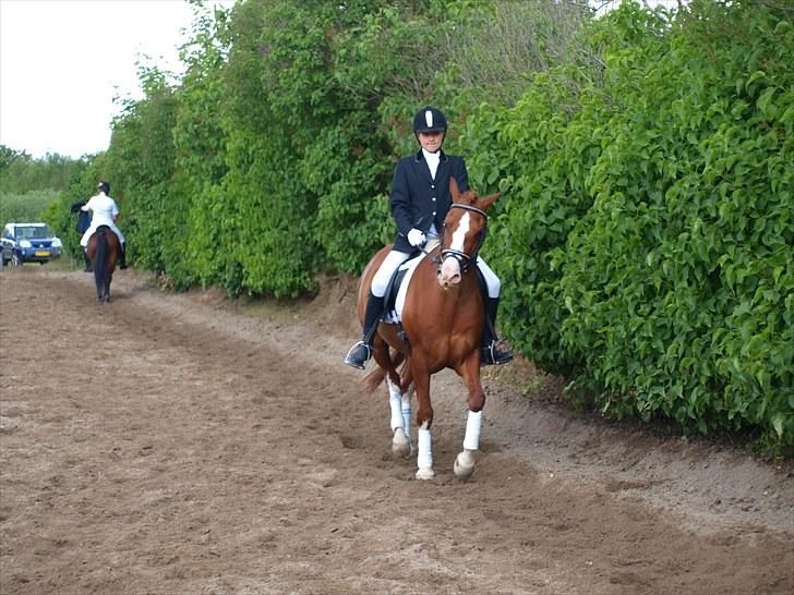 Algestrup rideklub stævne :) billede 42
