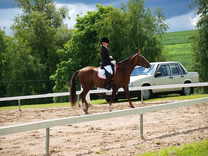 Algestrup rideklub stævne :) billede 43