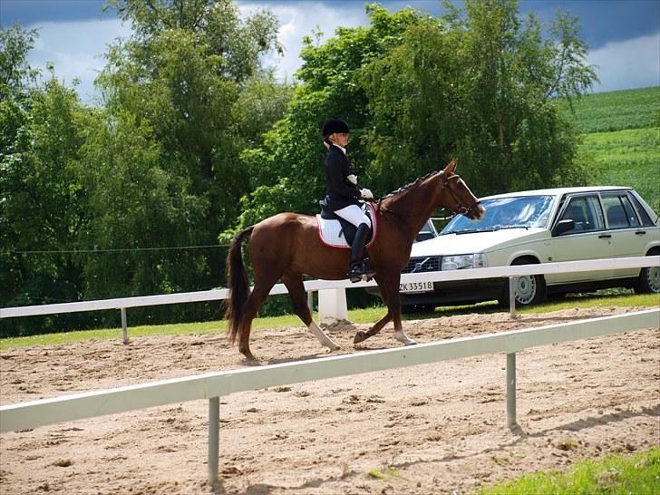 Algestrup rideklub stævne :) billede 44