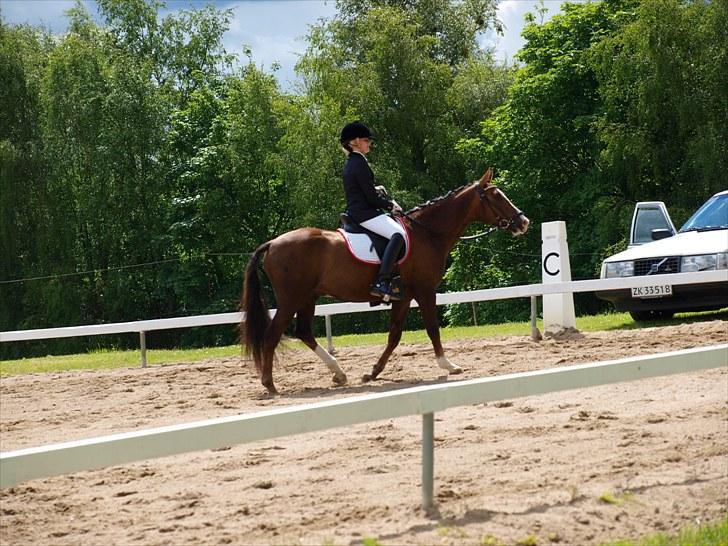 Algestrup rideklub stævne :) billede 45