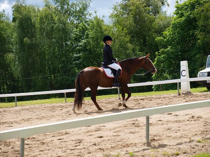 Algestrup rideklub stævne :) billede 46