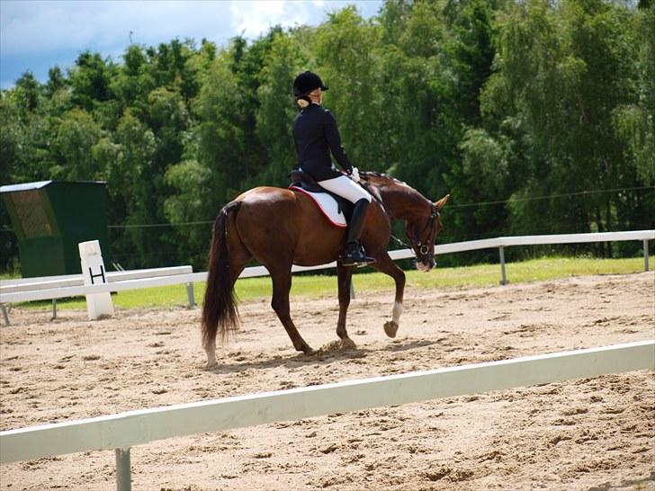 Algestrup rideklub stævne :) billede 47