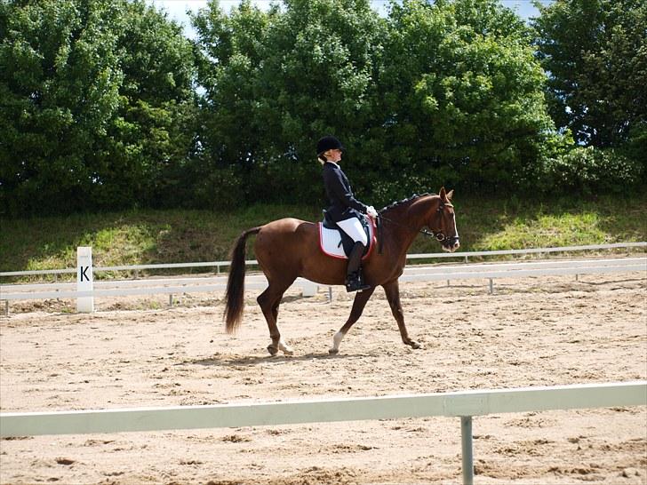 Algestrup rideklub stævne :) billede 48