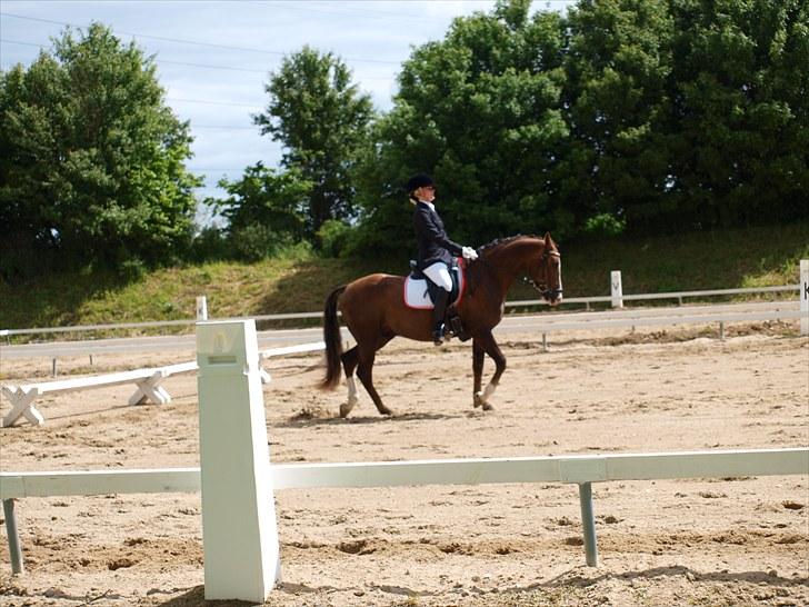 Algestrup rideklub stævne :) billede 49