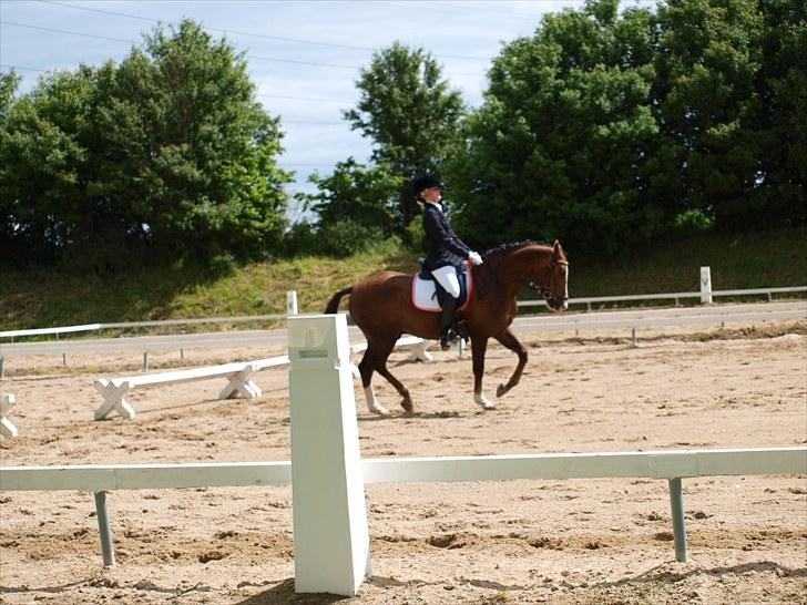 Algestrup rideklub stævne :) billede 50