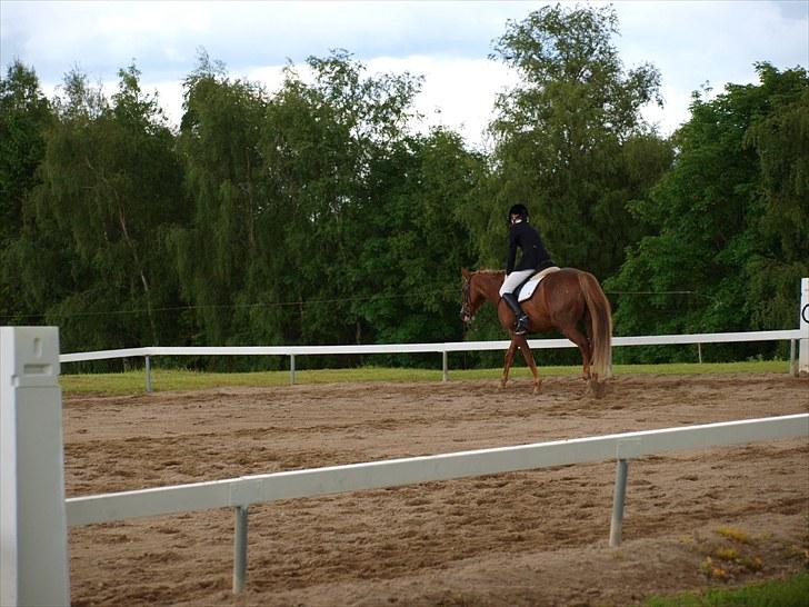 Algestrup rideklub stævne :) billede 51