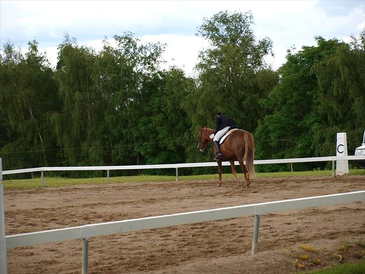 Algestrup rideklub stævne :) billede 52