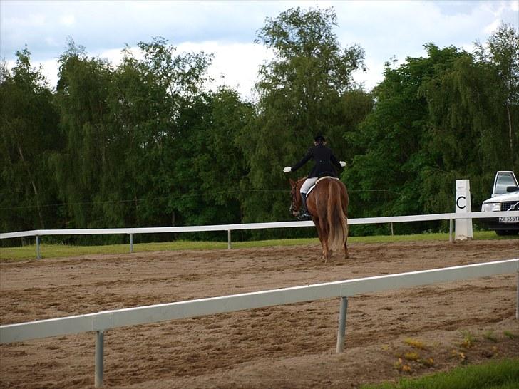 Algestrup rideklub stævne :) billede 53
