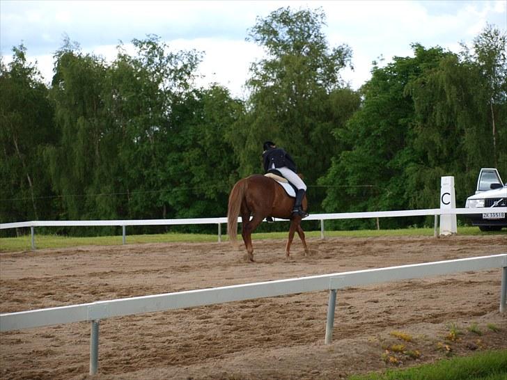 Algestrup rideklub stævne :) billede 55