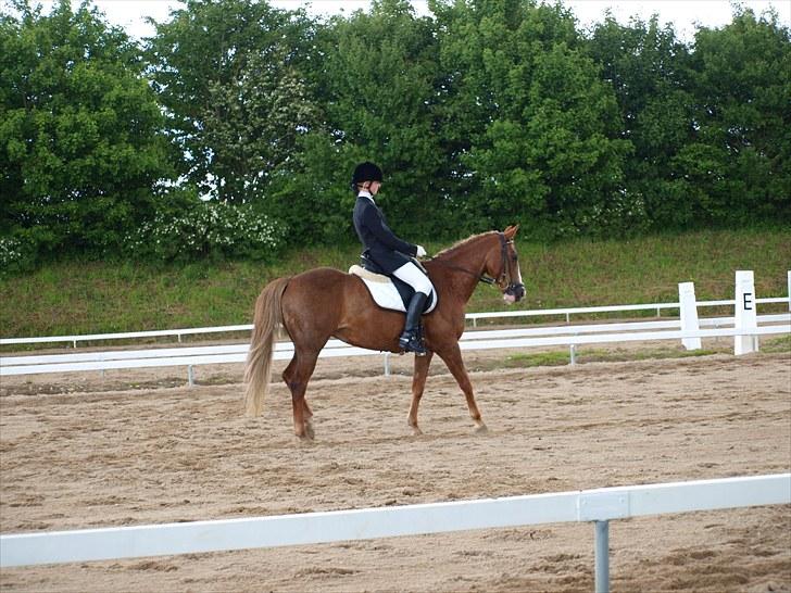 Algestrup rideklub stævne :) billede 57