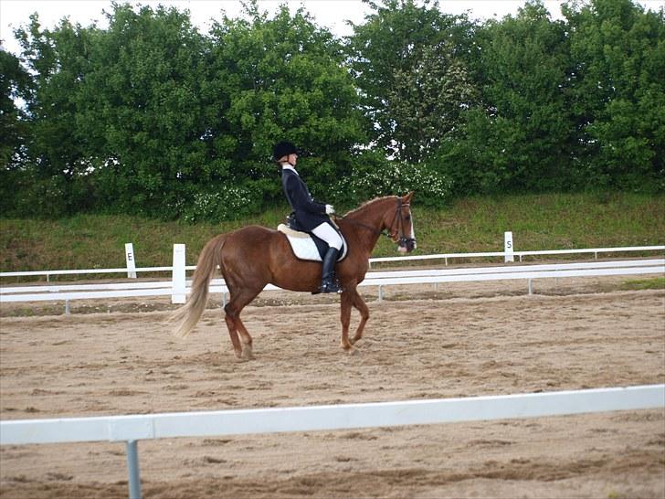 Algestrup rideklub stævne :) billede 58