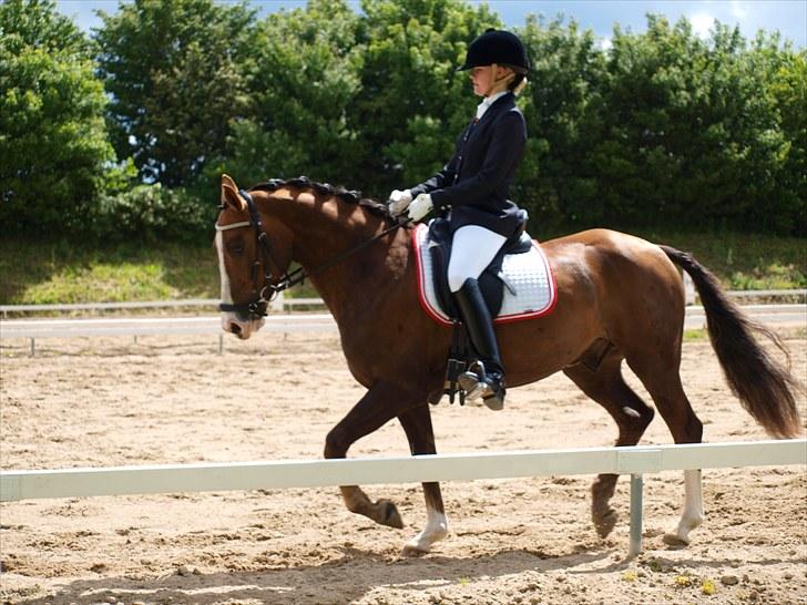 Algestrup rideklub stævne :) billede 59